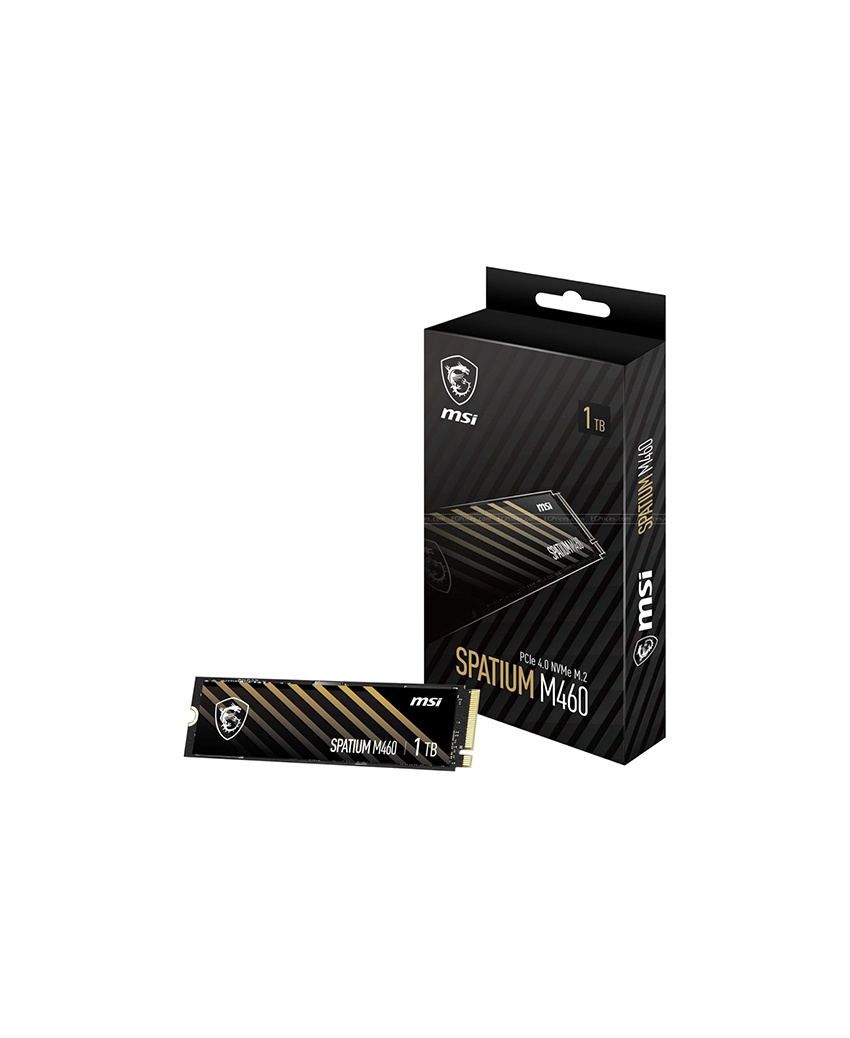 SPATIUM M460 PCIe 4.0 NVMe M.2 1TB SPATIUM M460 PCIe 4.0 NVMe M.2 1TB
